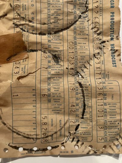 IMG_0239.jpeg IMG_0239.jpeg