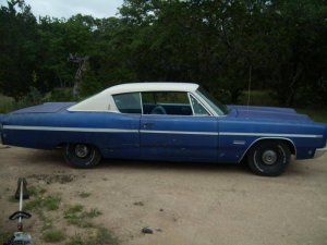 SL733770.jpg SL733770.jpg