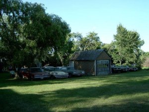 IM000113.jpg IM000113.jpg