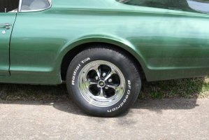 Cougar 2.jpg Cougar 2.jpg