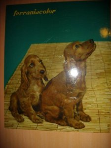 001-17.jpg 001-17.jpg