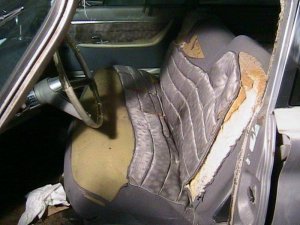 IMG_0101.jpg IMG_0101.jpg