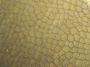 3G83Nf3pf5Ee5F45Jcd1o72af67a457861367.jpg 3G83Nf3pf5Ee5F45Jcd1o72af67a457861367.jpg