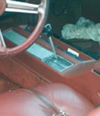 79chrys34189-5.jpg 79chrys34189-5.jpg