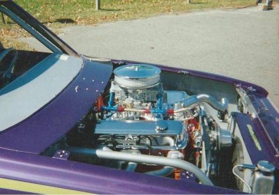 colt10.jpg colt10.jpg