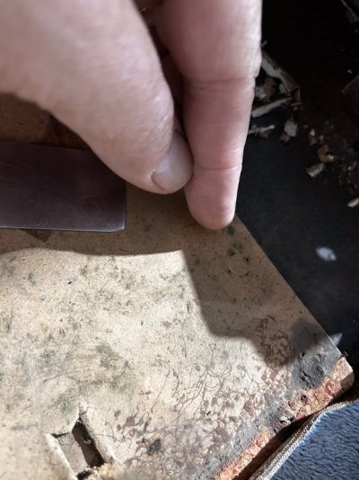 IMG_8492.jpeg IMG_8492.jpeg