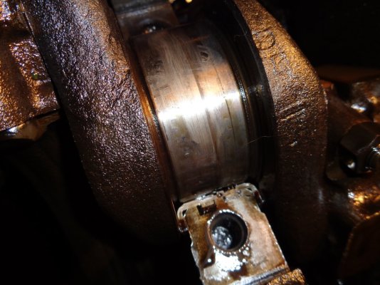 DSC01694.JPG DSC01694.JPG