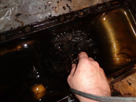 DSC01688.JPG DSC01688.JPG