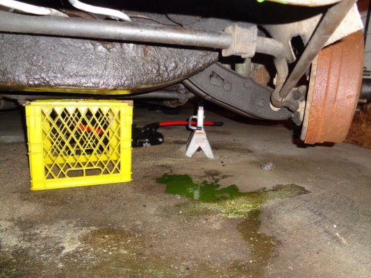 DSC01678.JPG DSC01678.JPG