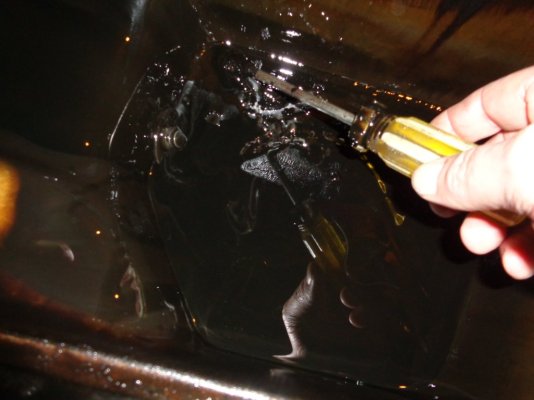 DSC01684.JPG DSC01684.JPG