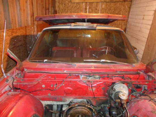 DSC01651.JPG DSC01651.JPG