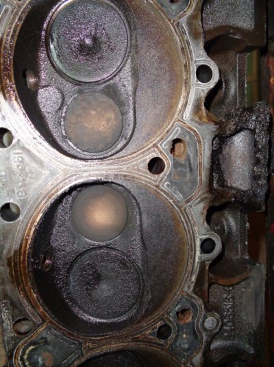 DSC01719.JPG DSC01719.JPG