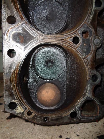 DSC01720.JPG DSC01720.JPG