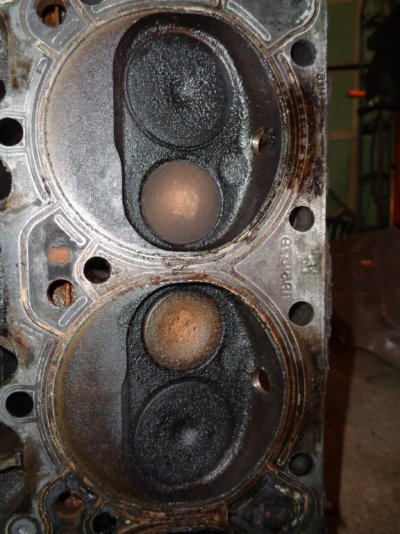 DSC01722.JPG DSC01722.JPG