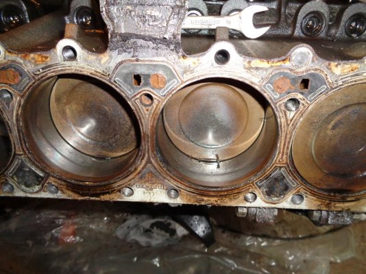 DSC01730.JPG DSC01730.JPG