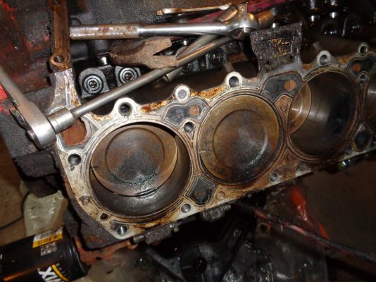 DSC01734.JPG DSC01734.JPG