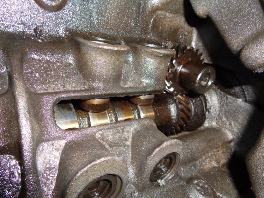 DSC01739.JPG DSC01739.JPG