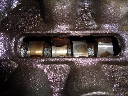 DSC01742.JPG DSC01742.JPG