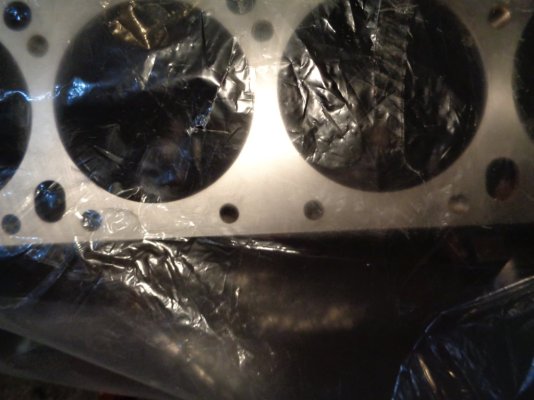 DSC02218.JPG DSC02218.JPG