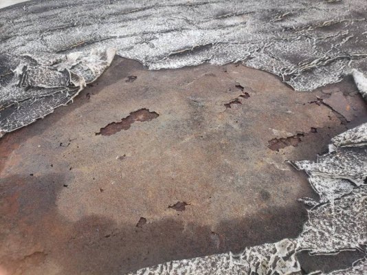 20230111_155318.jpg 20230111_155318.jpg