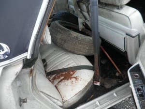 tom 050.jpg tom 050.jpg