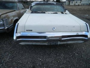 tom 052.jpg tom 052.jpg