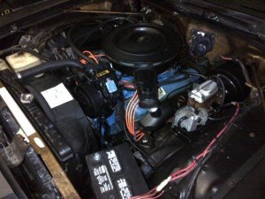 Bloom-20130311-00484 (1).jpg Bloom-20130311-00484 (1).jpg