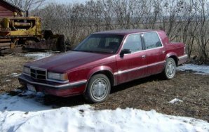 92 dynasty2.jpg 92 dynasty2.jpg