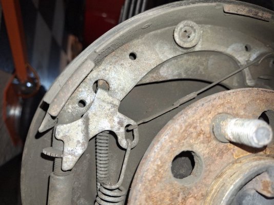 20251024_120027 - kopie.jpg