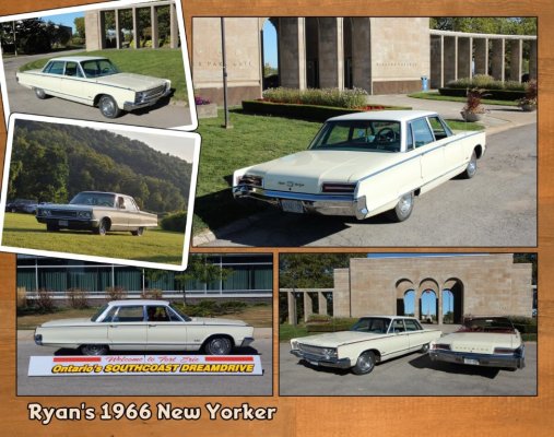 09_Ryan_NYer (Large).jpg