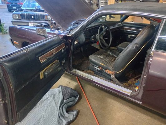 530794644_618296651038075_1763528517302961482_n (1).jpg