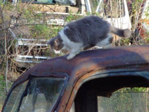 DSC02155.jpg DSC02155.jpg