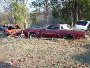 DSC02157.jpg DSC02157.jpg