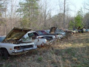 DSC02161.jpg DSC02161.jpg