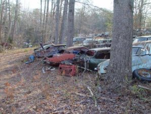 DSC02165.jpg DSC02165.jpg