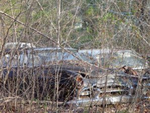 DSC02166.jpg DSC02166.jpg