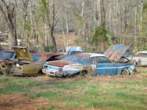 DSC02167.jpg DSC02167.jpg