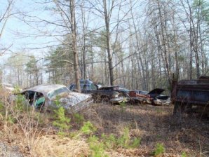 DSC02169.jpg DSC02169.jpg