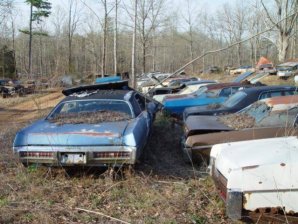 DSC02173.jpg DSC02173.jpg