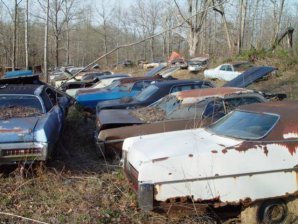 DSC02174.jpg DSC02174.jpg