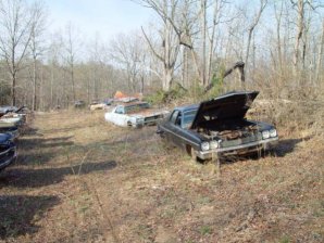 DSC02175.jpg DSC02175.jpg