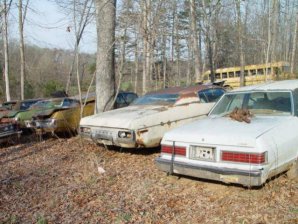 DSC02177.jpg DSC02177.jpg