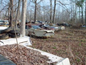 DSC02183.jpg DSC02183.jpg