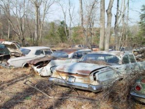 DSC02184.jpg DSC02184.jpg