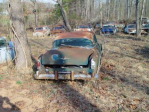 DSC02185.jpg DSC02185.jpg