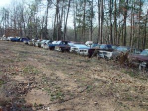 DSC02187.jpg DSC02187.jpg