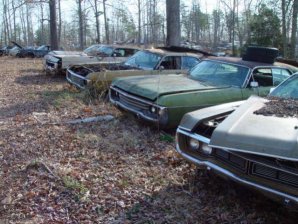 DSC02201.jpg DSC02201.jpg