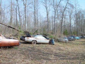 DSC02205.jpg DSC02205.jpg