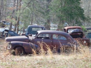 DSC02206.jpg DSC02206.jpg