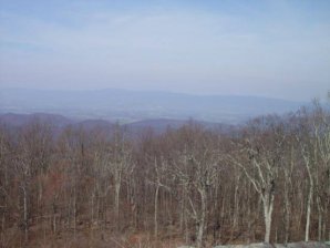 DSC02210.jpg DSC02210.jpg